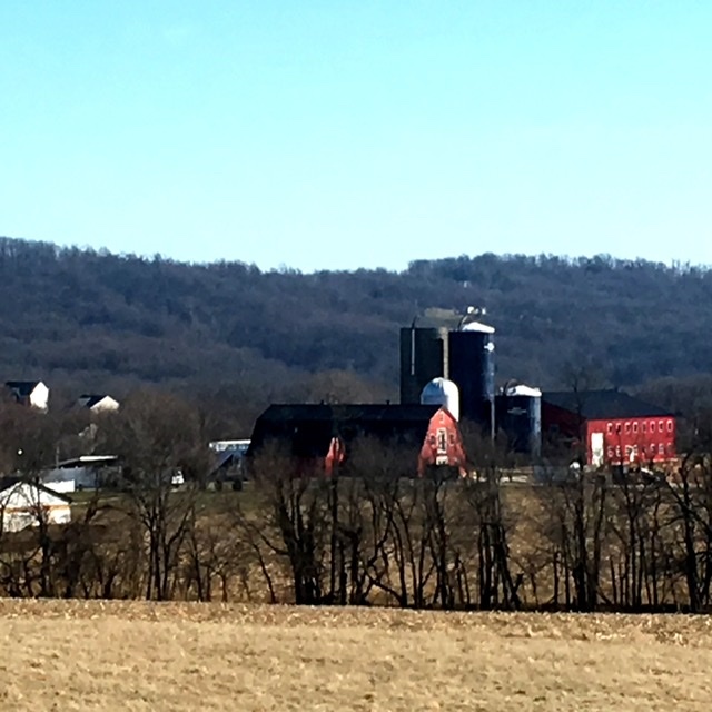 Taylorstown-farm.jpeg#asset:296